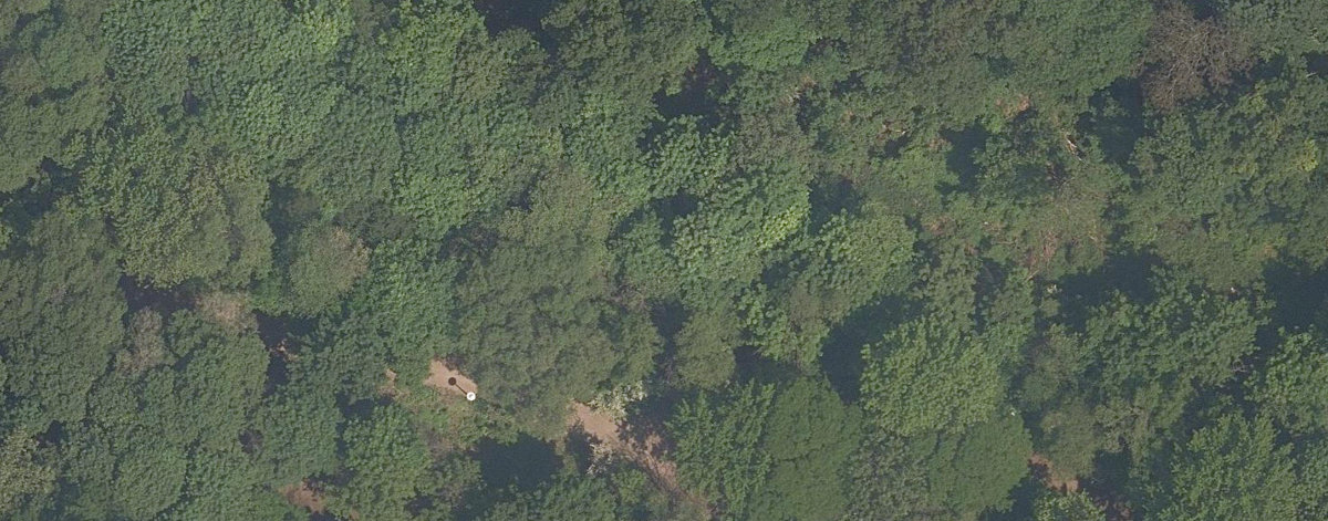 Nordheimer Ravine, aerial top-down view
