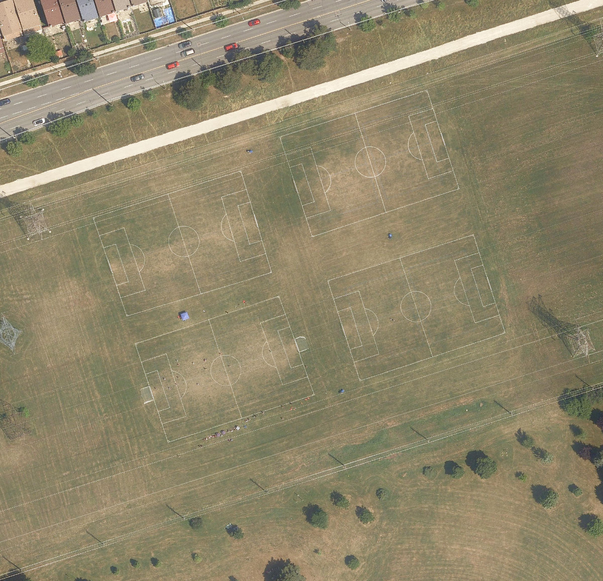 Warden Park, site photograph