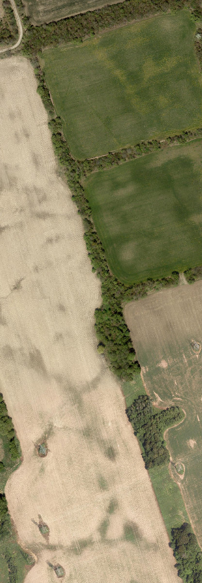 Rouge Park, site photograph
