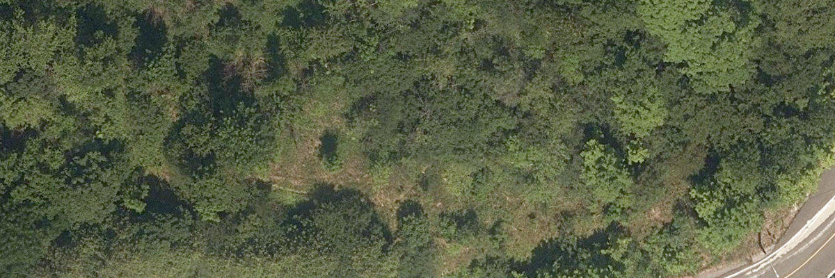 Rouge Park, site photograph