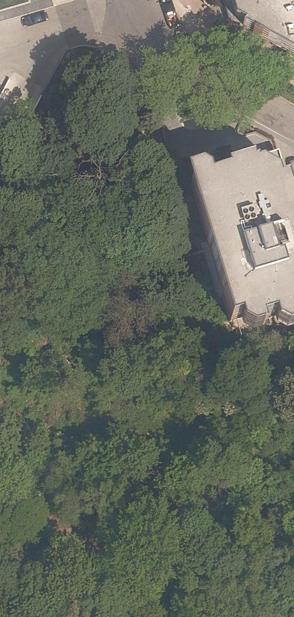 Nordheimer Ravine, aerial top-down view