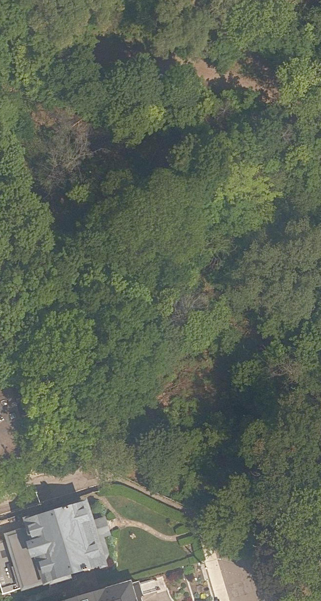 Nordheimer Ravine, aerial top-down view