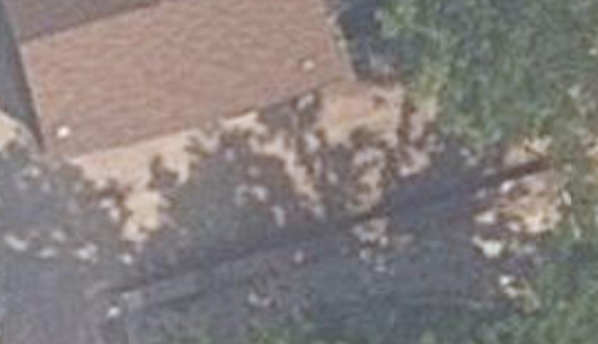 Glasgow Parkette, aerial top-down view
