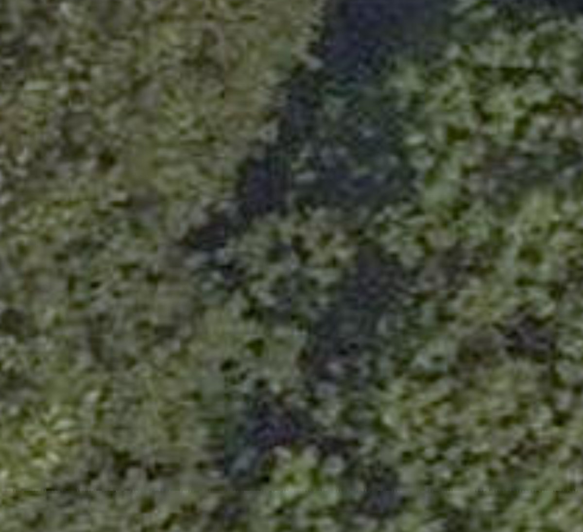 Rouge Park, site photograph