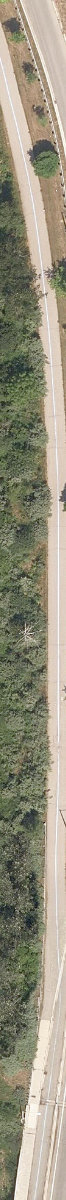 Toronto Zoo, site photograph