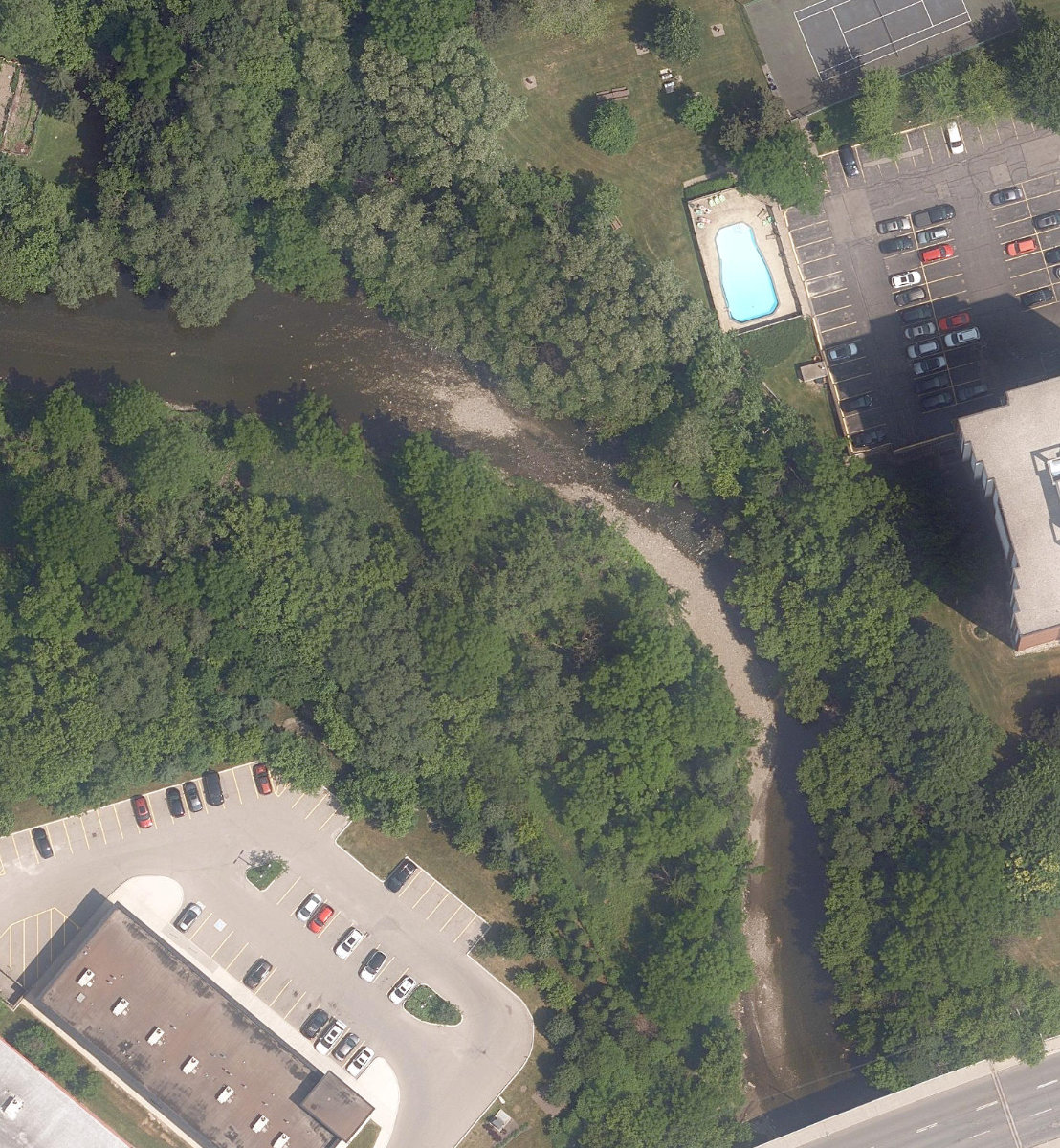 Etobicoke Creek Ravine, site photograph