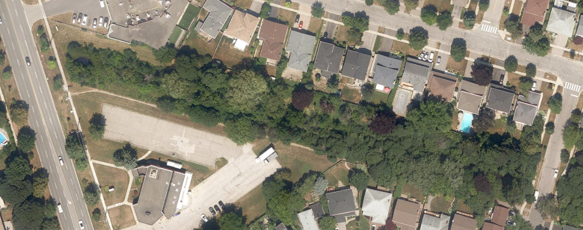 West Highland Creek Watercourse, site photograph