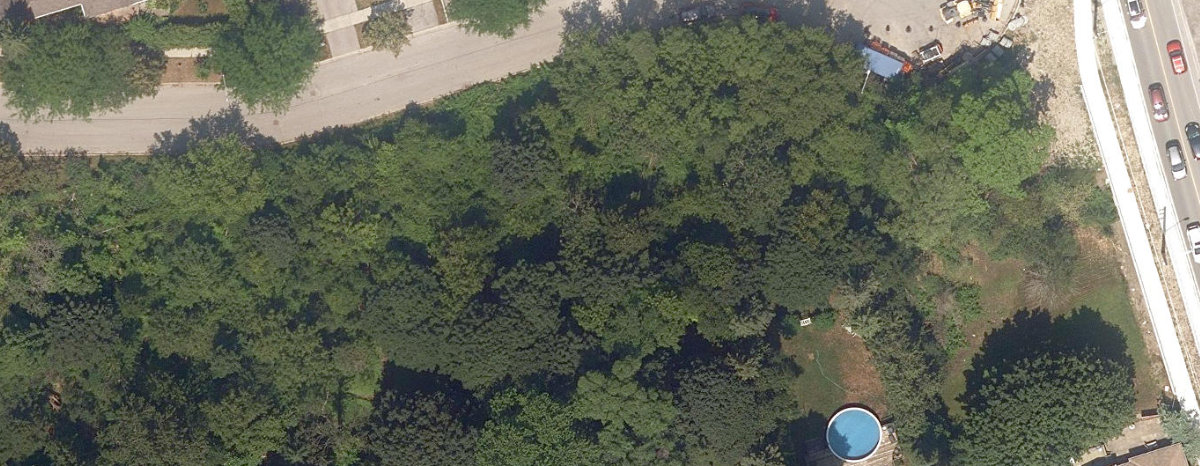 Adam'S Creek Ravine, aerial top-down view