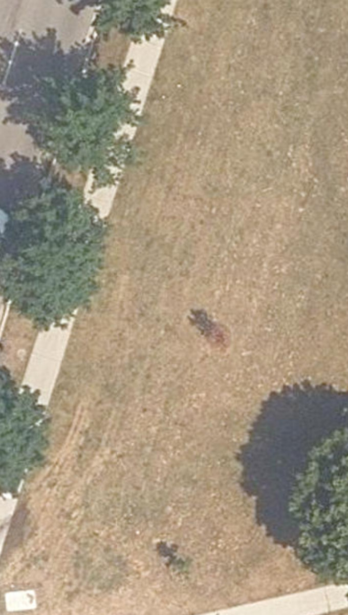 City Wide Open Space, site photograph