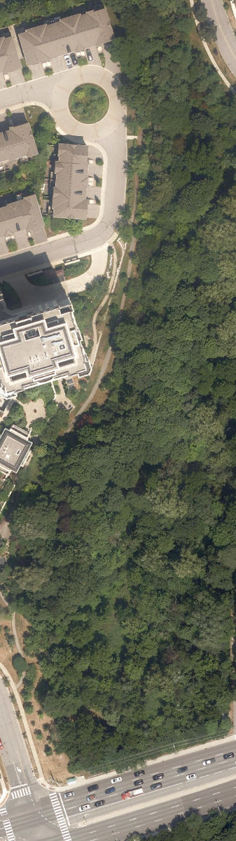 Dallington Park, aerial top-down view