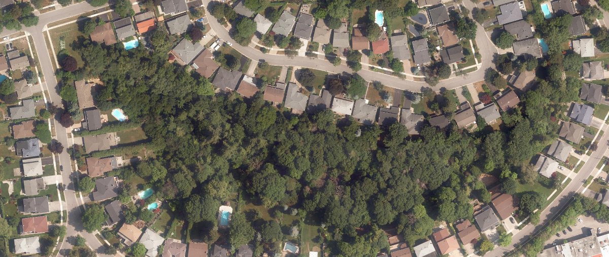 Sawley Banstock Greenbelt, site photograph