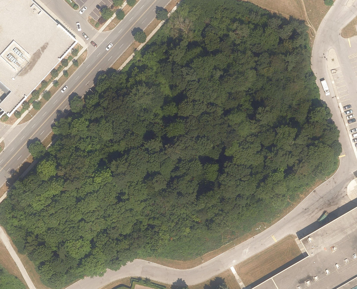 Mclevin Woods Park, aerial top-down view