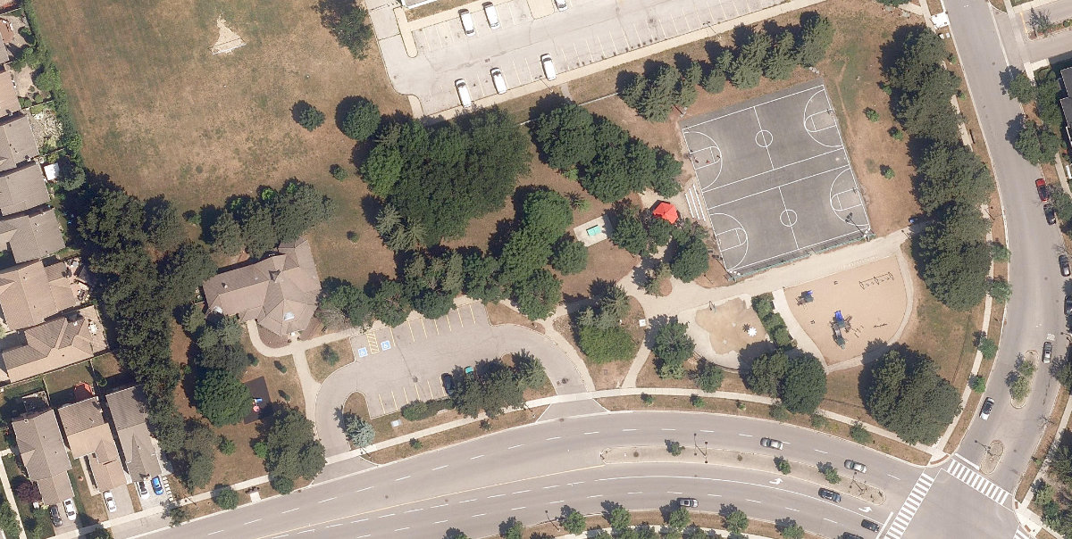 Tall Pines Park, aerial top-down view