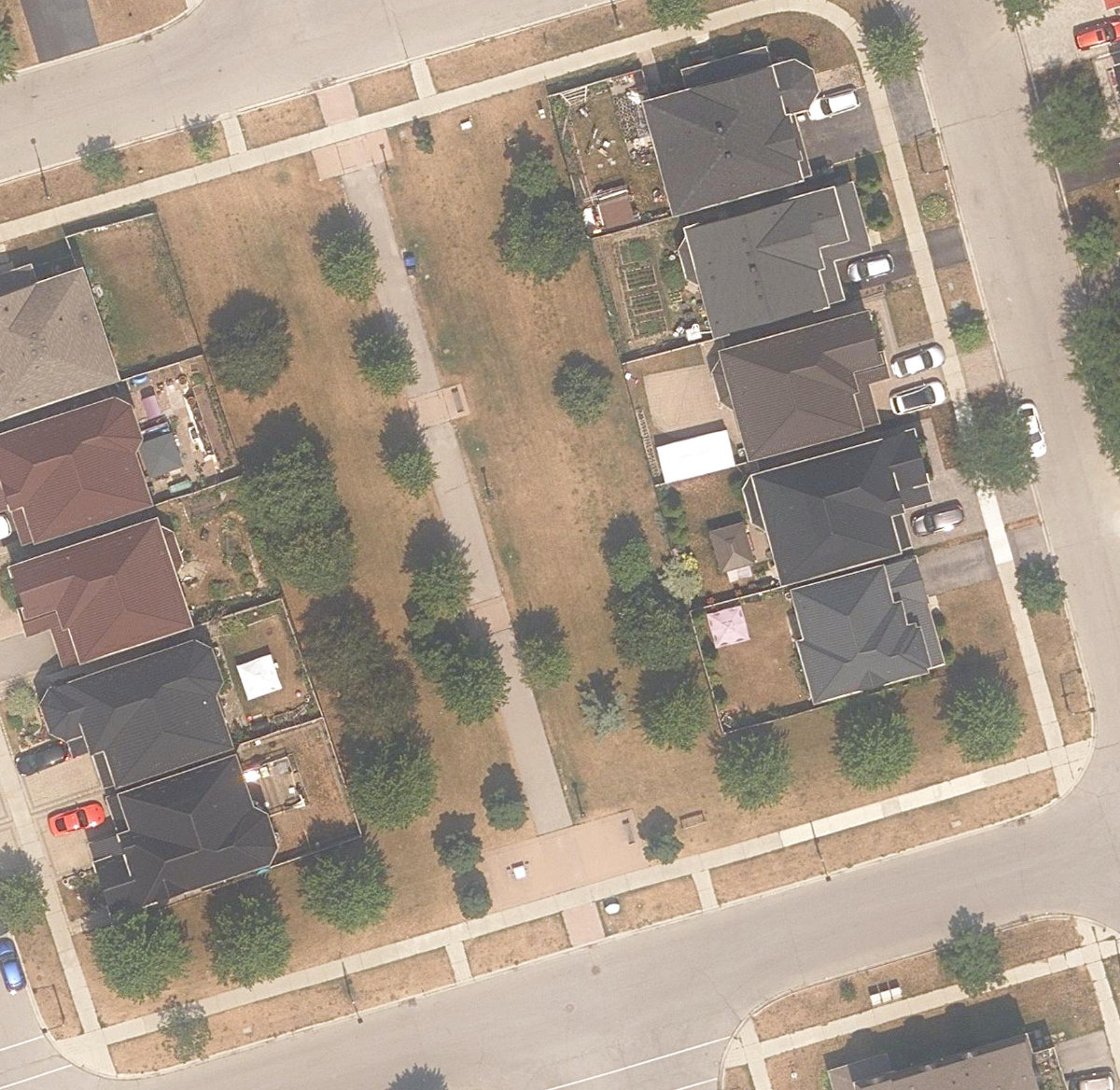 Trumpeter Park, site photograph