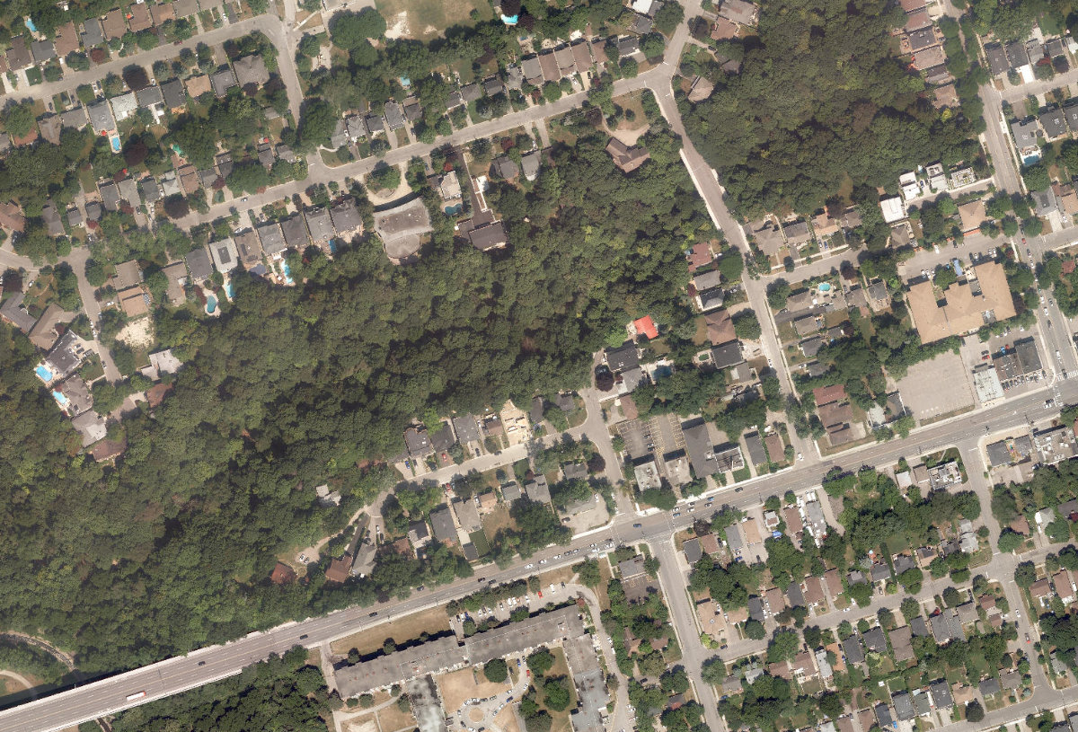 Addington Greenbelt, site photograph