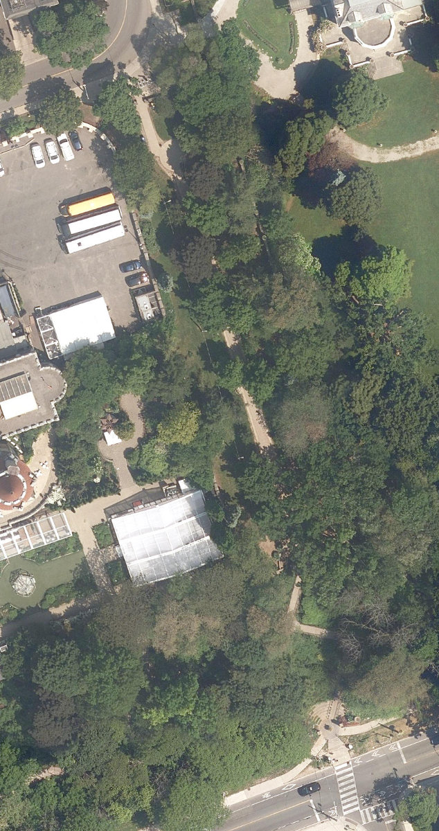 Spadina Park, aerial top-down view
