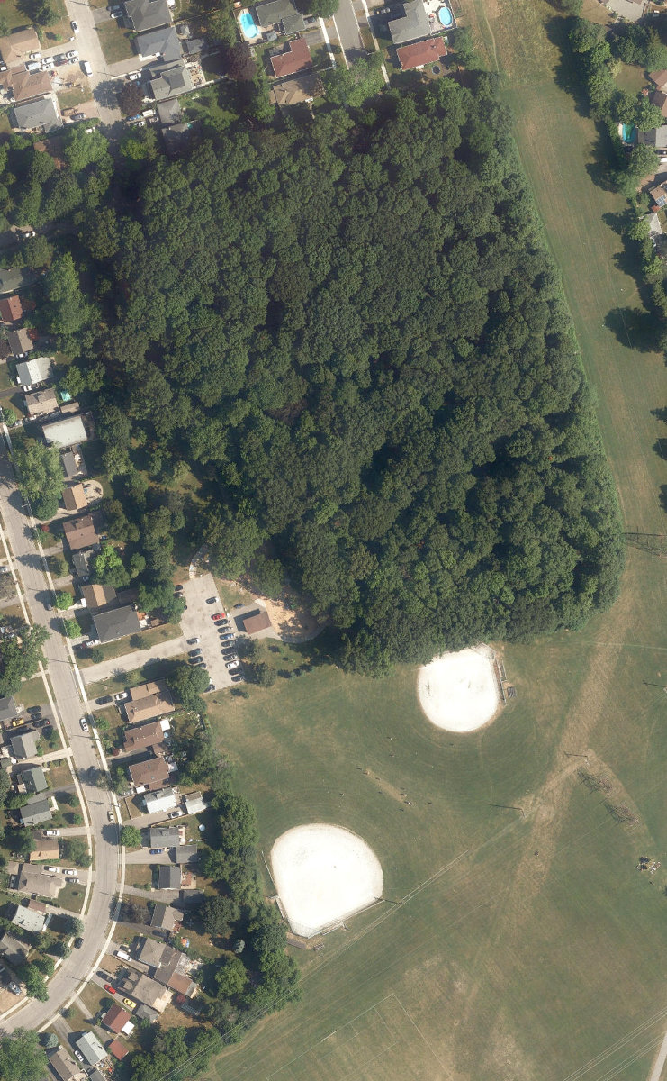 Wexford Park, aerial top-down view