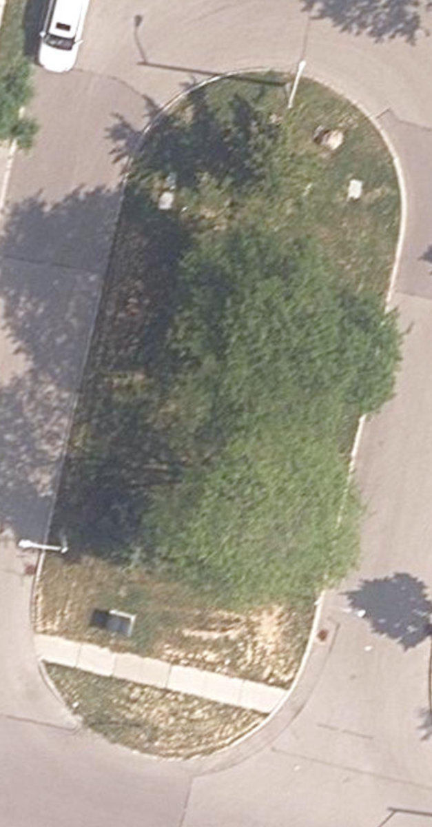 Kendleton Drive Island W, site photograph