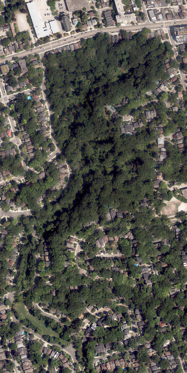 Glen Stewart Park, aerial top-down view