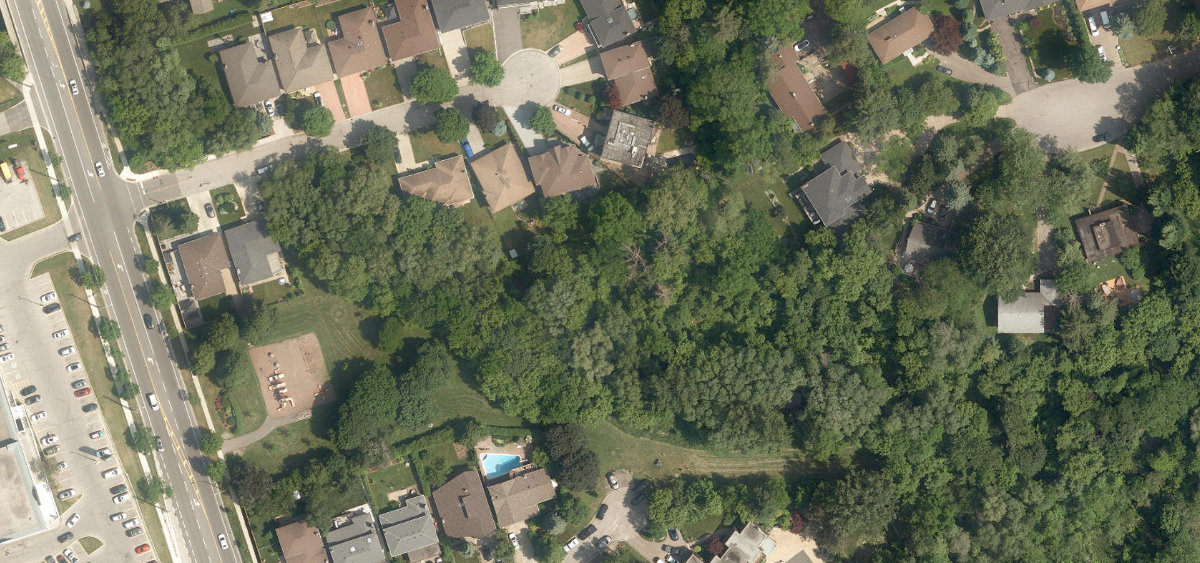 Douglas B. Ford Park, aerial top-down view