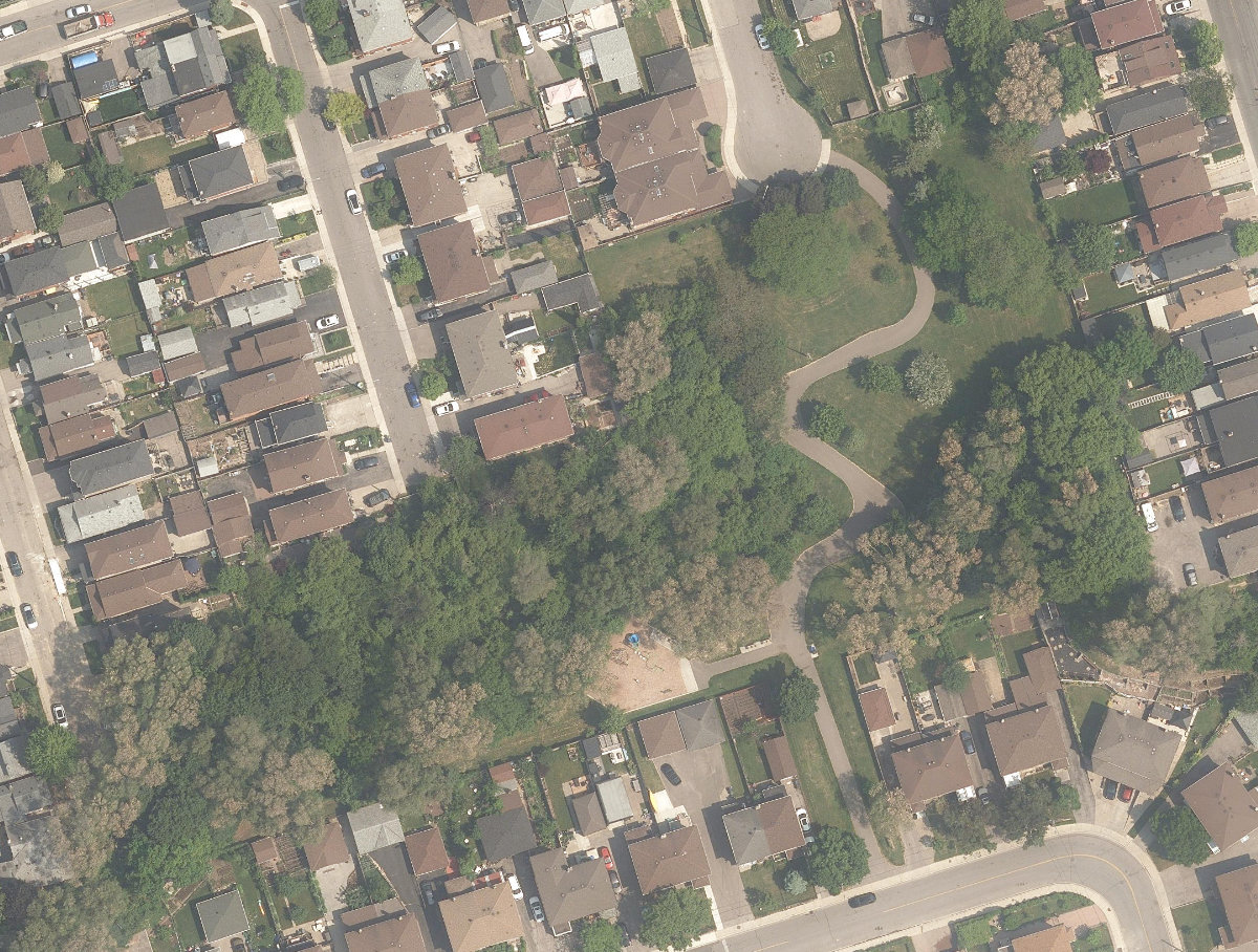 Dalrymple Park, aerial top-down view
