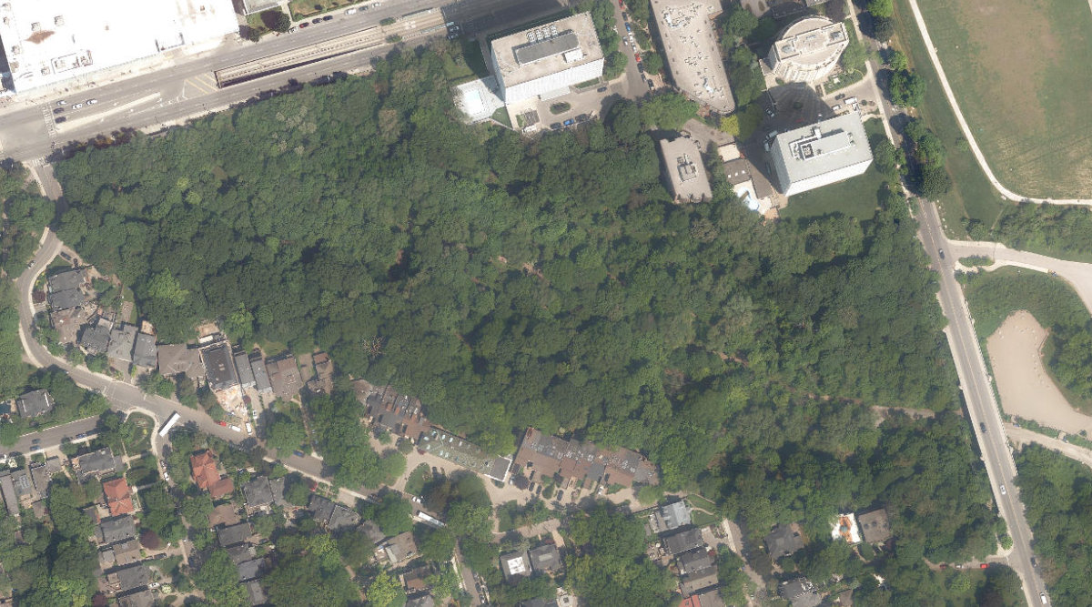 Nordheimer Ravine, aerial top-down view