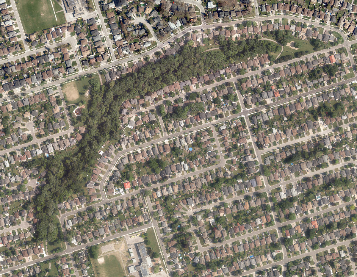 Giovanni Caboto Park, aerial top-down view
