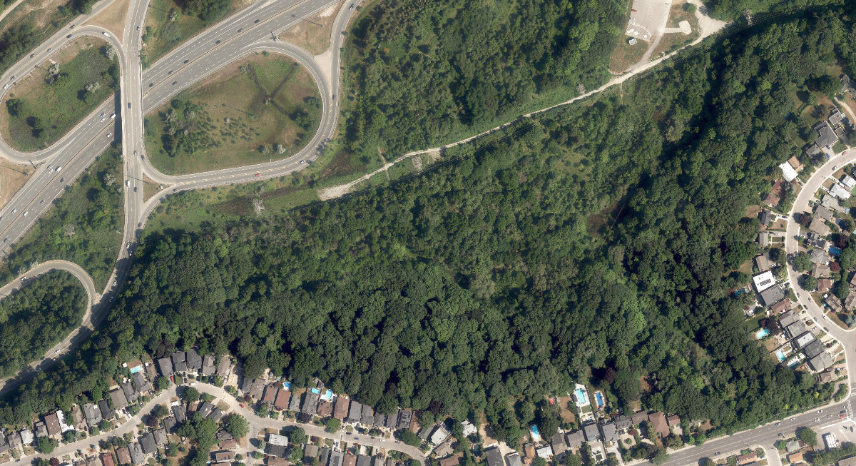 Coxwell Ravine Park, aerial top-down view