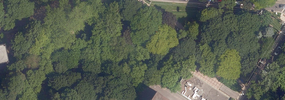 Lawren Harris Park, aerial top-down view