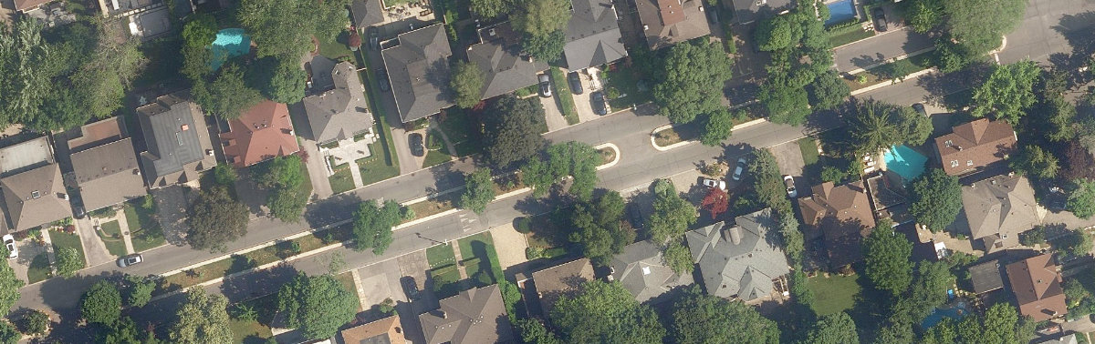 Old Forest Hill Traffic Island, site photograph