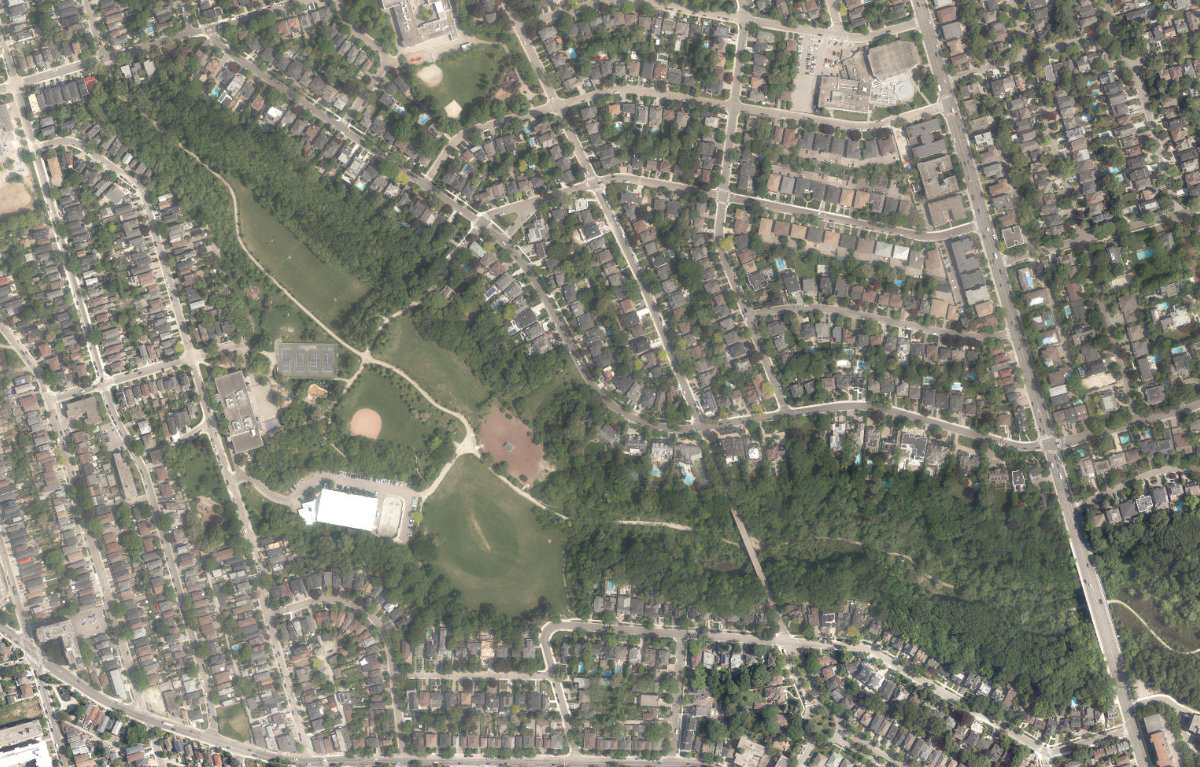 Cedarvale Park, aerial top-down view