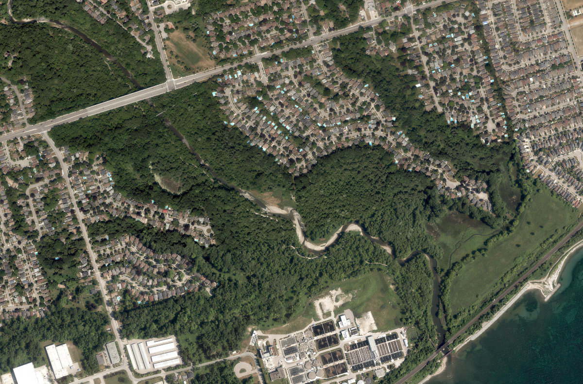 Lower Highland Creek, aerial top-down view