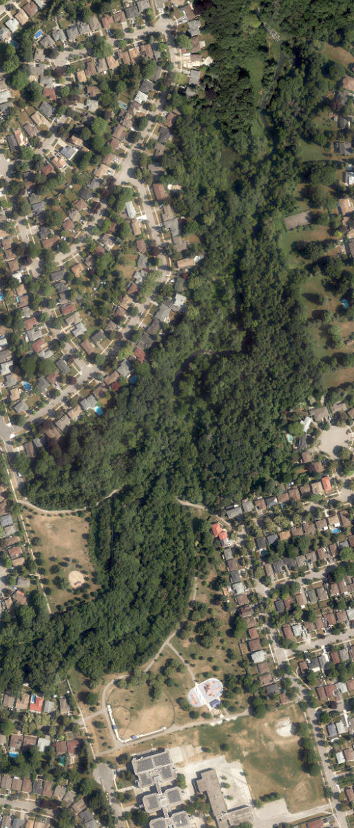 Mccowan Park, aerial top-down view