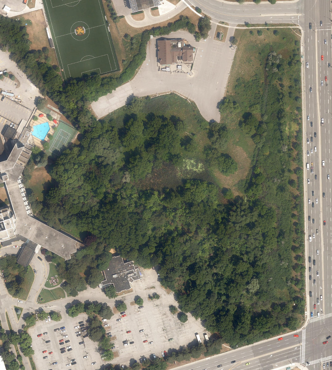 DAVID DUNCAN HOUSE - Building Grounds, aerial top-down view