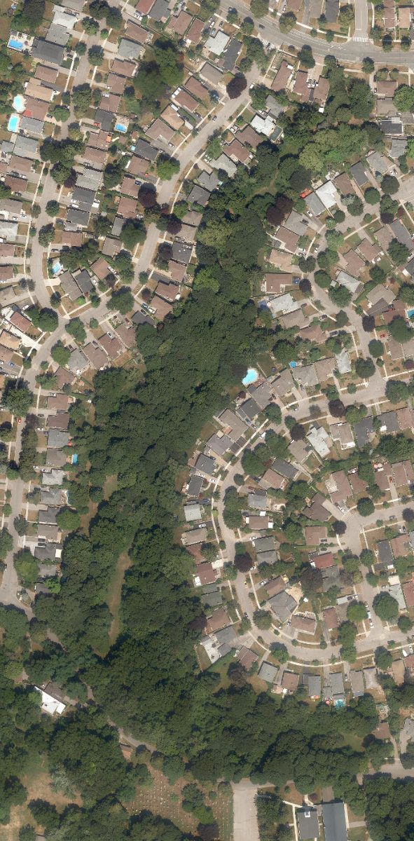 Amberdale Ravine Park, aerial top-down view