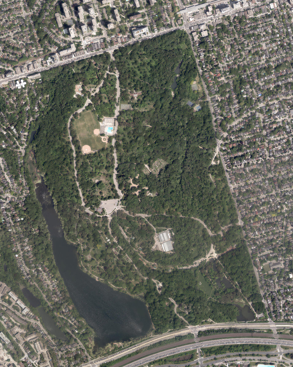 High Park, aerial top-down view