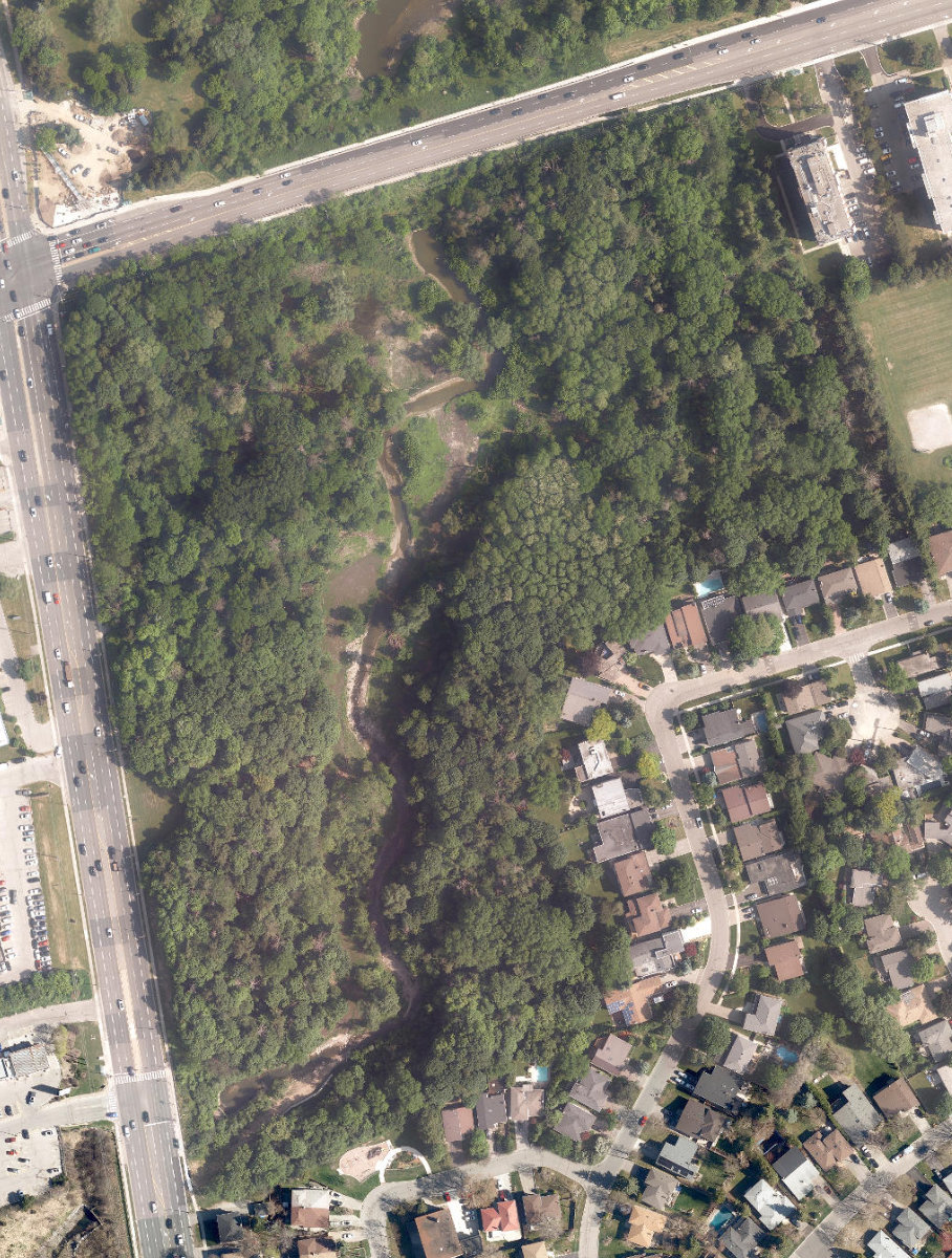 Trca Lands ( 78), site photograph