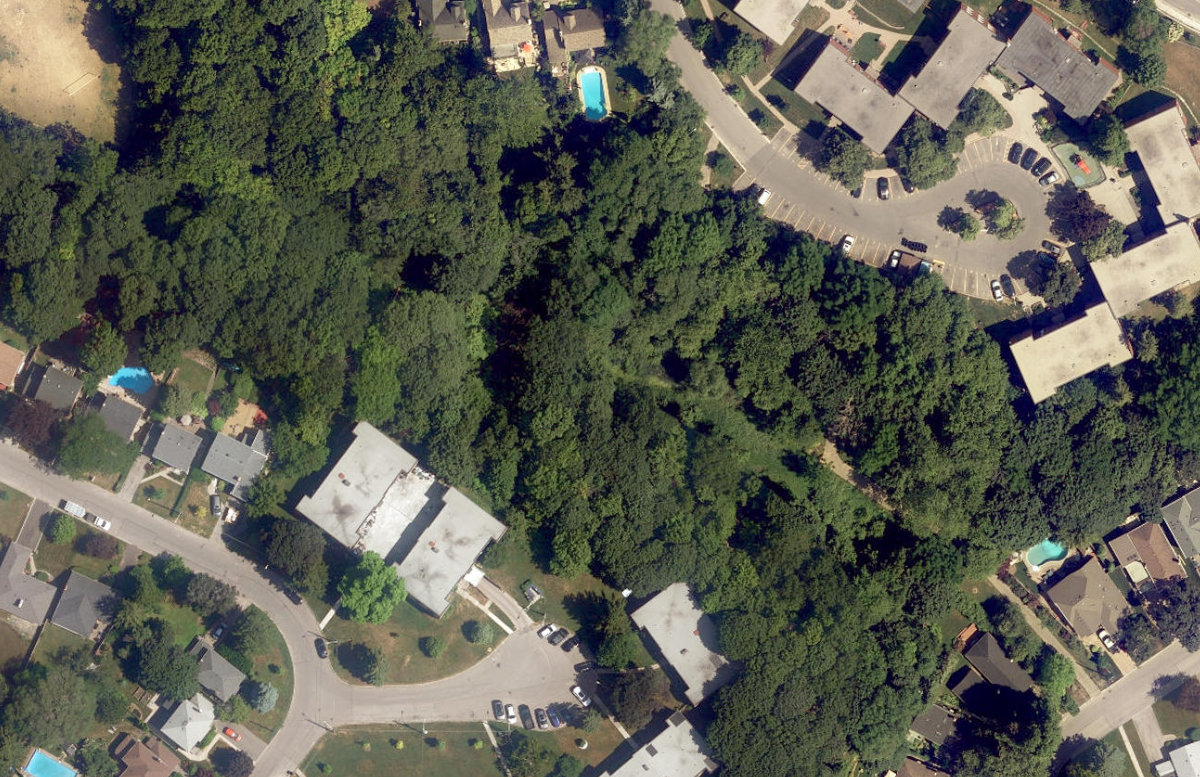 Cliffside Ravine, aerial top-down view