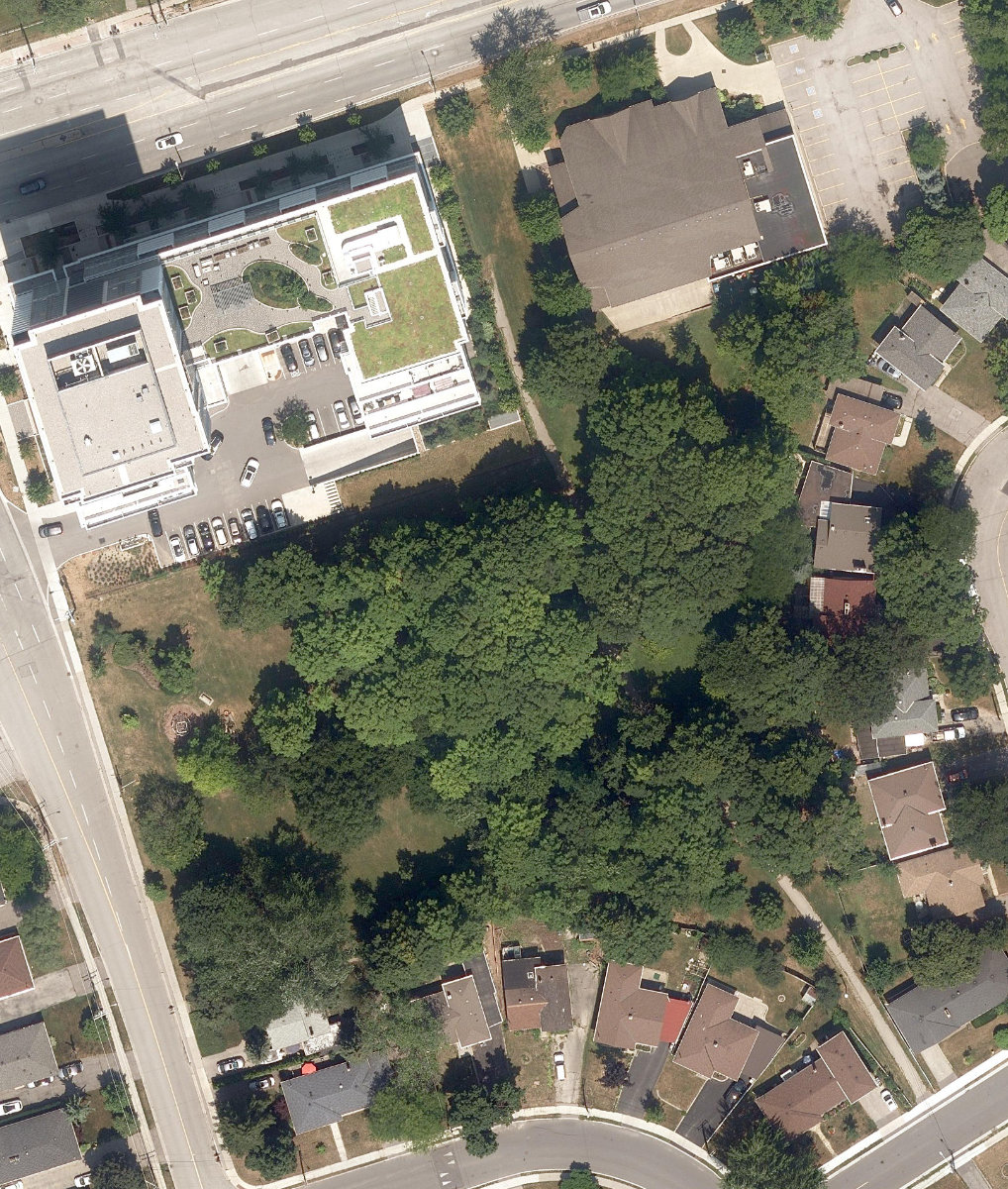 Wishing Well Woods, aerial top-down view