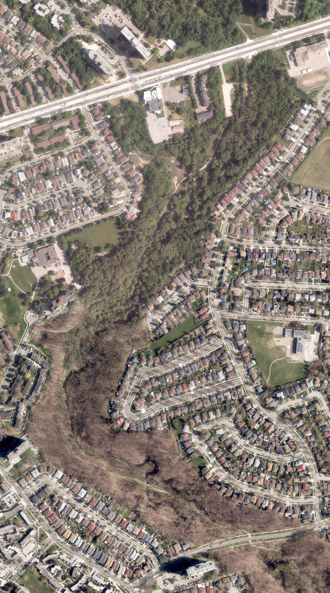 Derrydowns Park, aerial top-down view