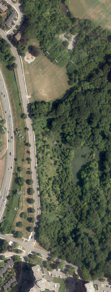 Linkwood Lane Park, site photograph