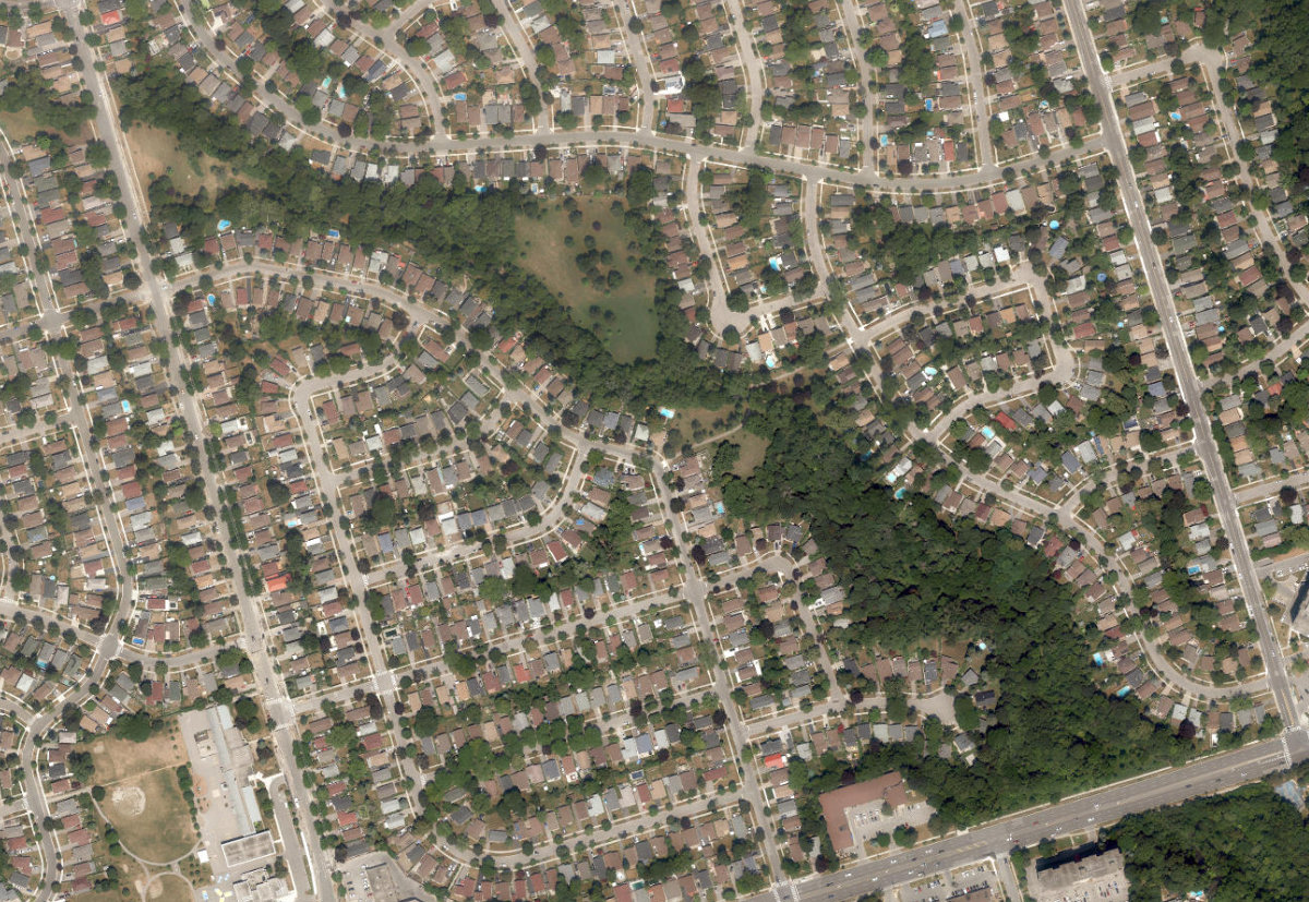 Curran Hall Ravine Park, aerial top-down view