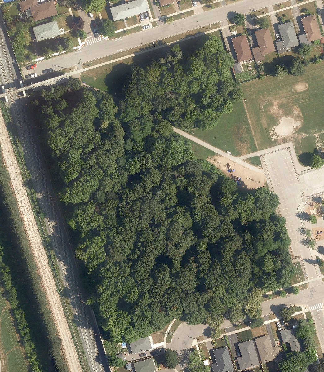 Lord Roberts Woods, aerial top-down view