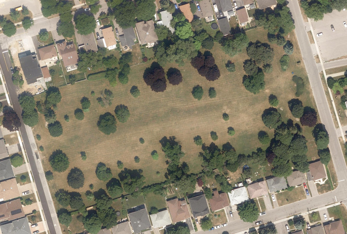 Ellison Park, site photograph