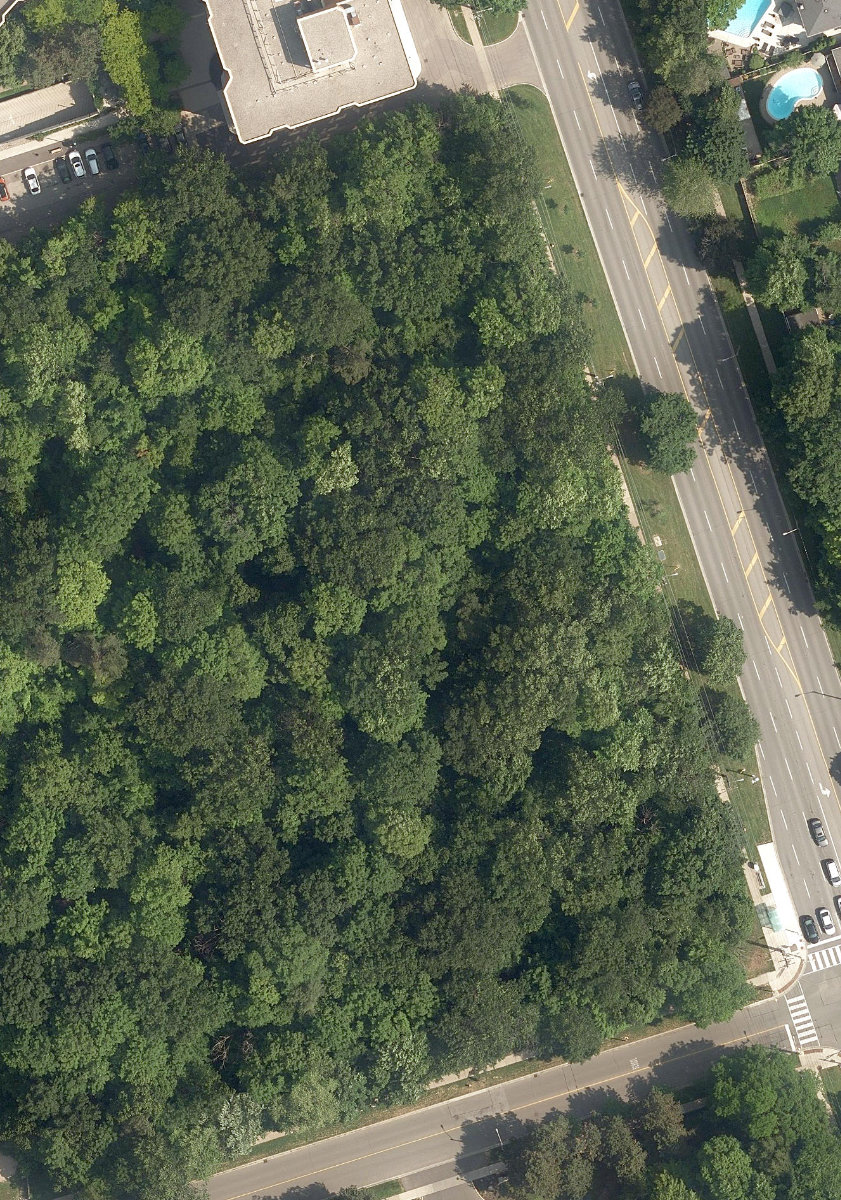 Denfield Park, aerial top-down view