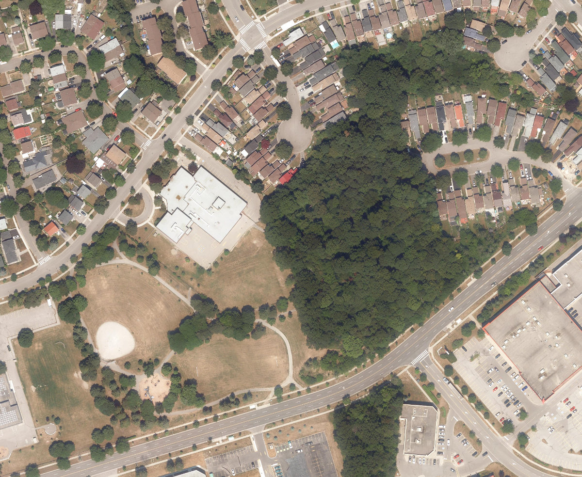 Murison Park, aerial top-down view