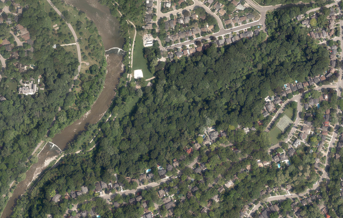 Magwood Park, aerial top-down view