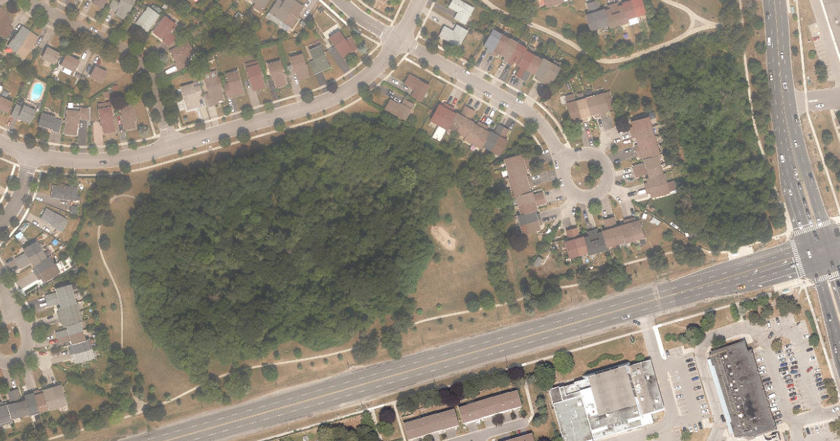 Malvern Woods, aerial top-down view