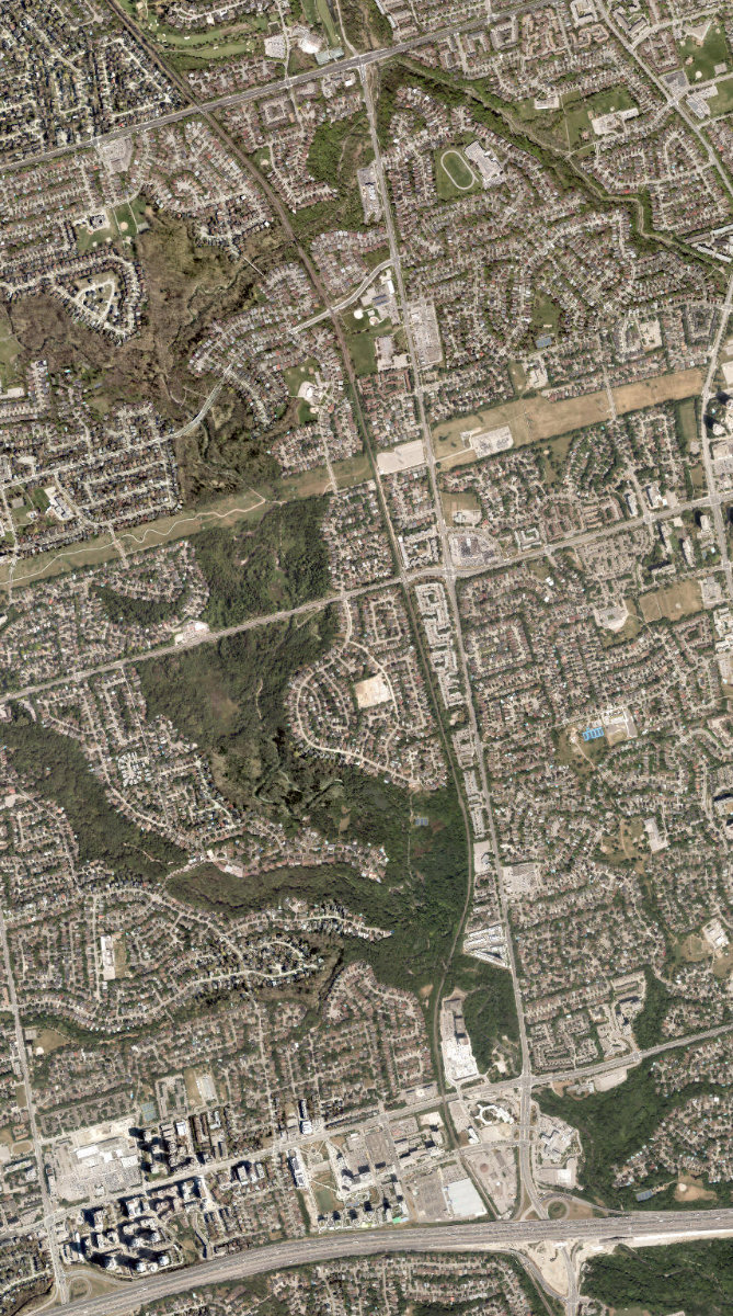 East Don Parkland, site photograph