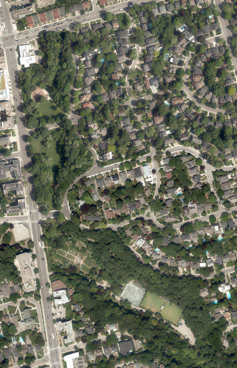 Lawrence Park Ravine, aerial top-down view